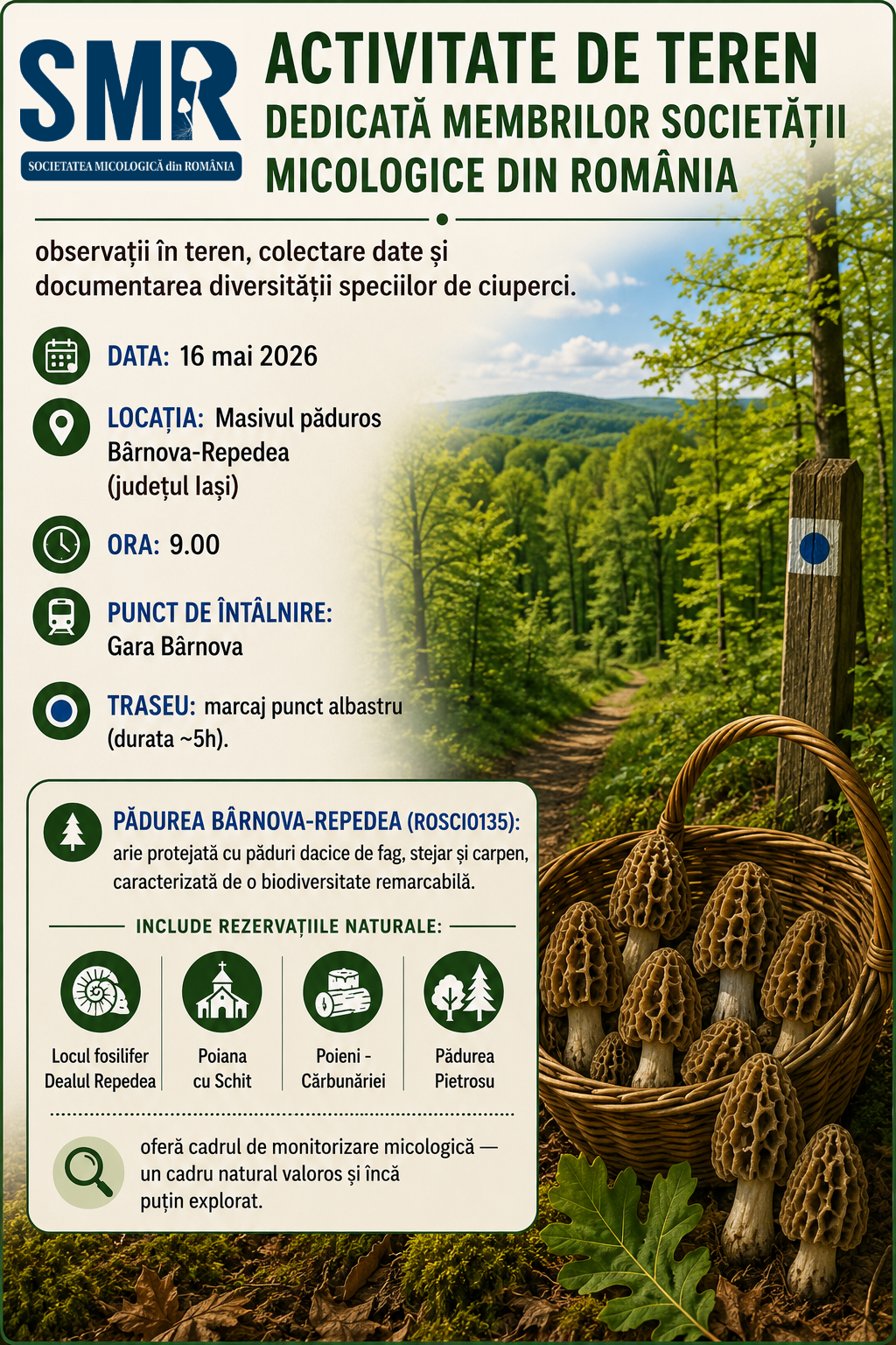 Activitate de teren micologică | 16 mai 2026
